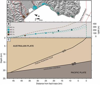 Causes of permanent vertical deformation at subduction margins: Evidence from late Pleistocene marine terraces of the southern Hikurangi margin, Aotearoa New Zealand
